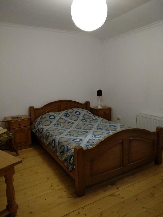 Shevchenka 19 Apartment Ivano-Frankivs'k Luaran gambar